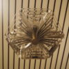 Jules Wabbes – Image 10