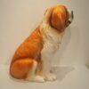 Chien vers 1980 – Image 6