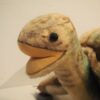 Steiff – Image 4