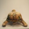 Steiff – Image 6
