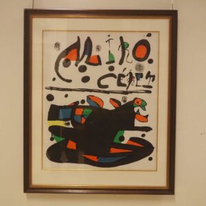 Miro Juan