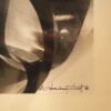 Photo argentique – Image 3