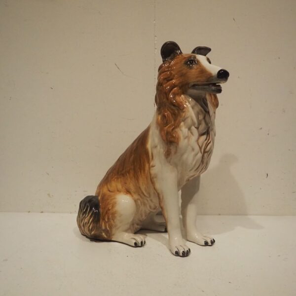 Chiens vers 1980