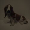 Chiens vers 1980 – Image 2