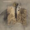Raphael Cleeremans – Image 3