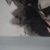V.Foladore – Image 4