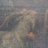 Van der Cavel ? – Image 5