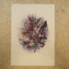 - – Image 2
