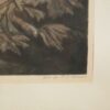 Dessinée par Carl Vernet – Image 4