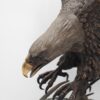 - – Image 3
