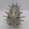 Thomas Duriez – Image 4