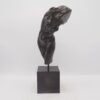 - – Image 3