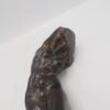 - – Image 7