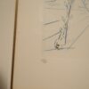 - – Image 5