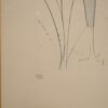 - – Image 5