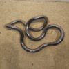 Richard Zawitz – Image 5