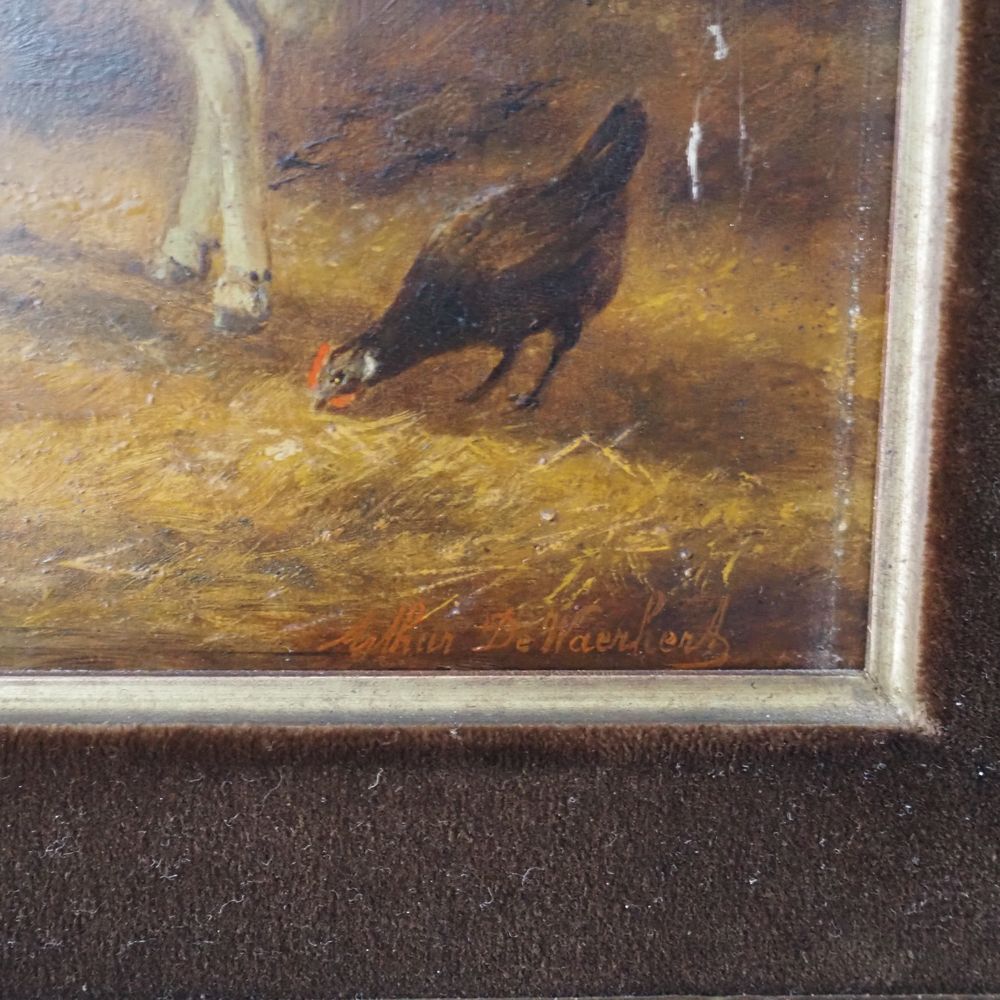 - – Image 4