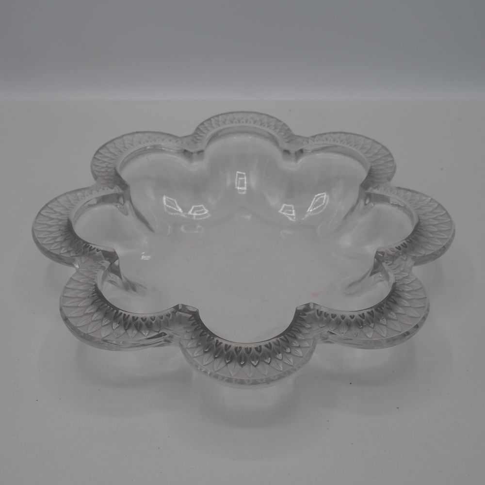 - – Image 5