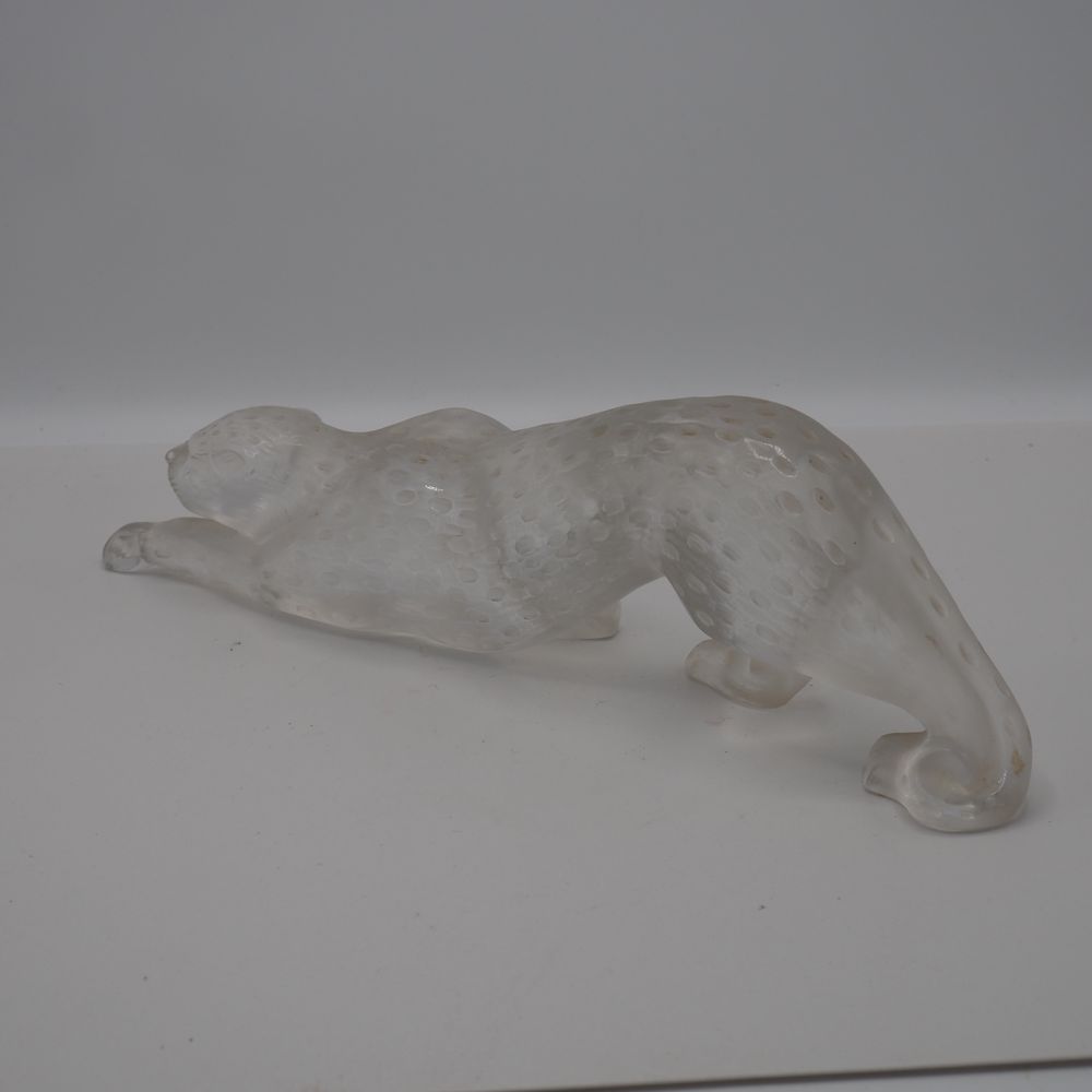- – Image 4
