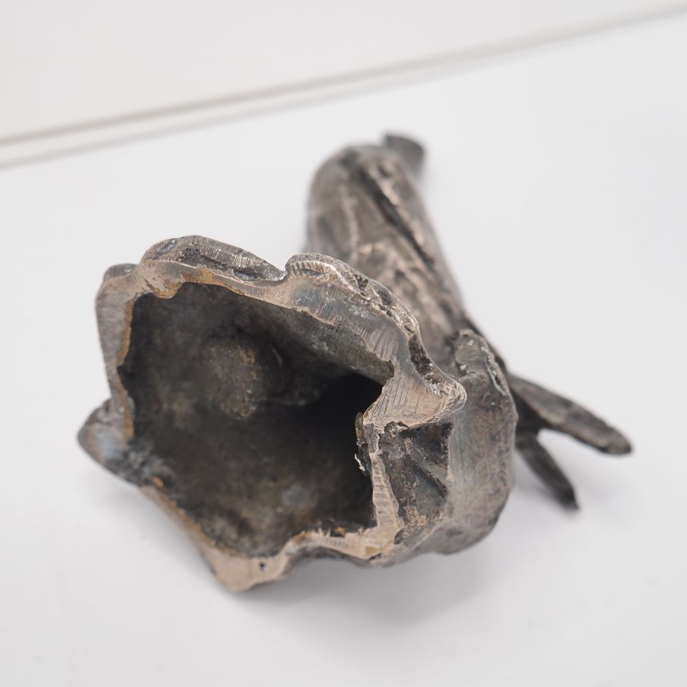 - – Image 3