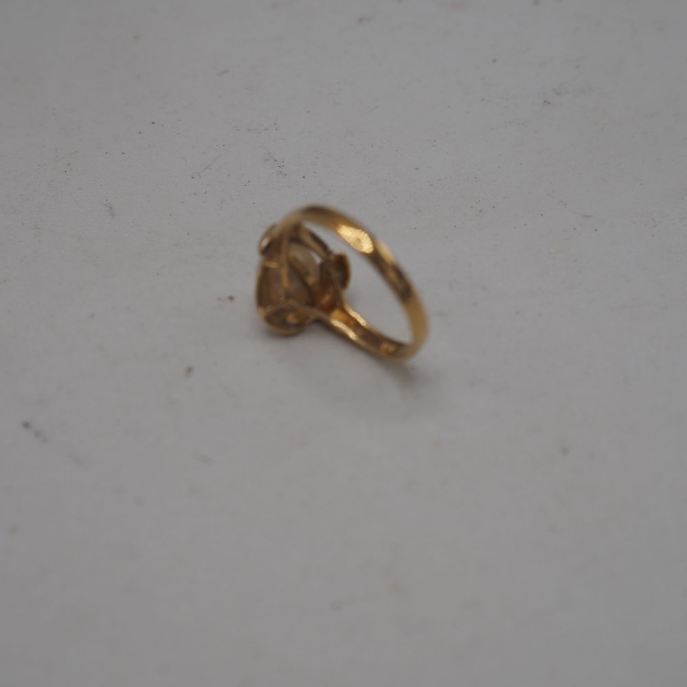 - – Image 5