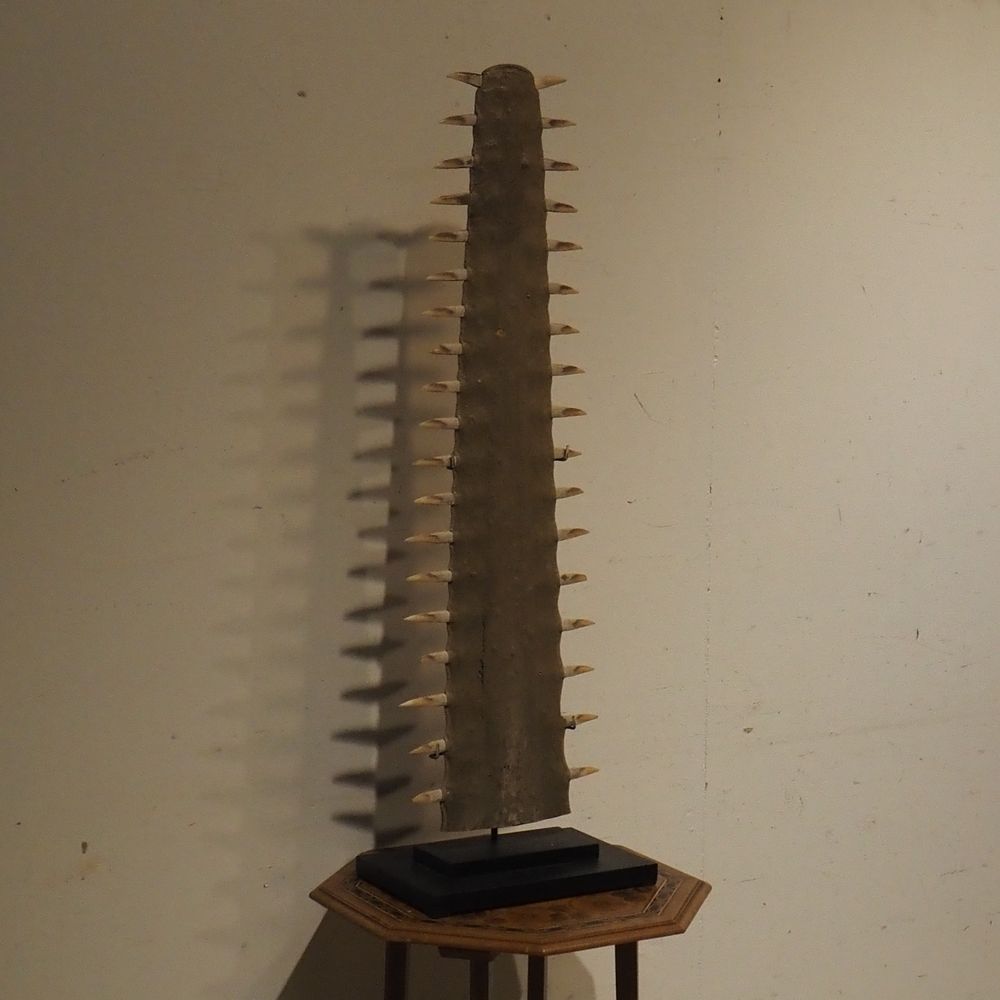 - – Image 2