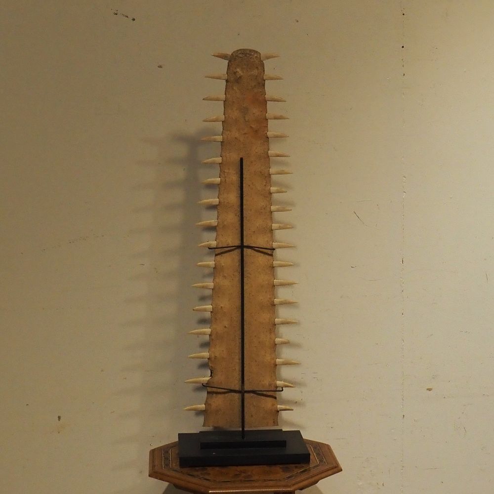 - – Image 3