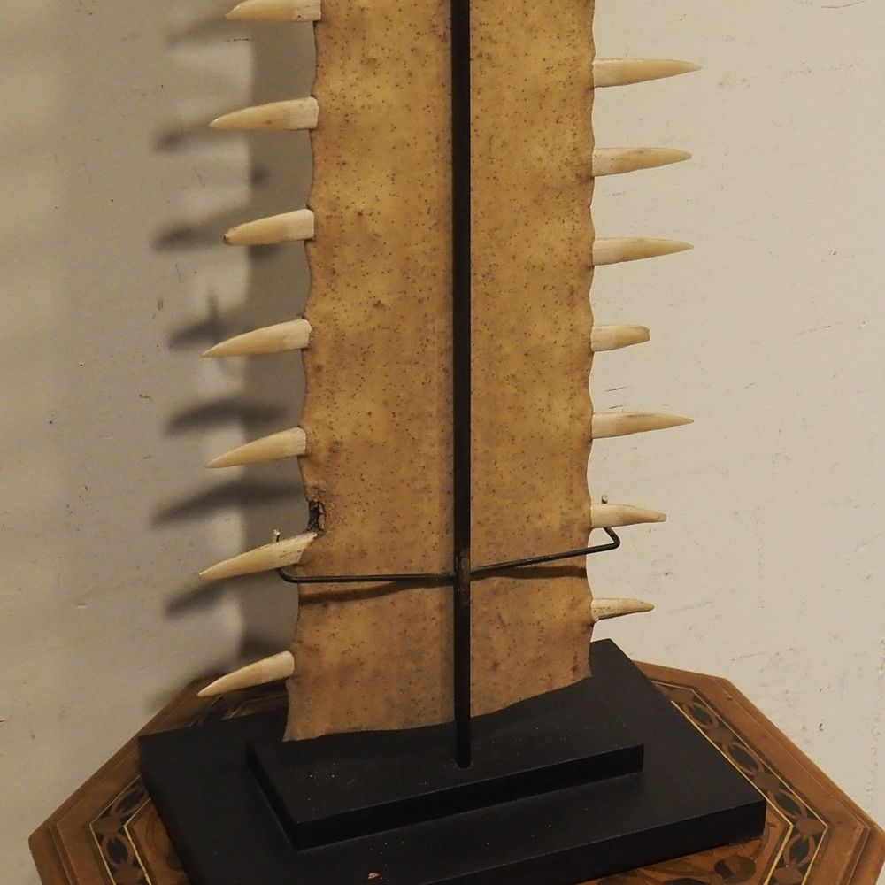 - – Image 4