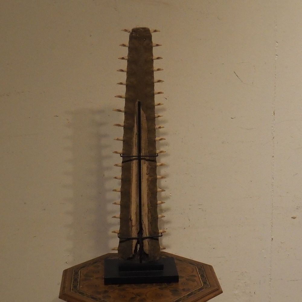 - – Image 3
